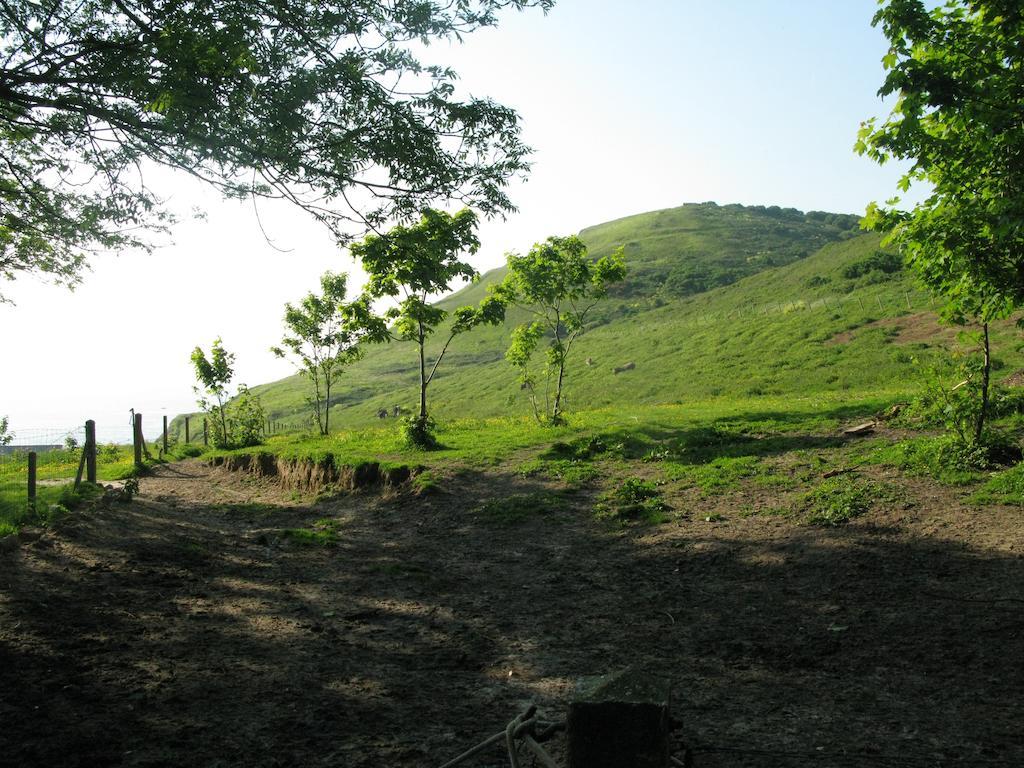 La Villa Flore Saint-Jouin-Bruneval Rom bilde